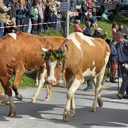 Alpesi faház Akwaaba Gryon
