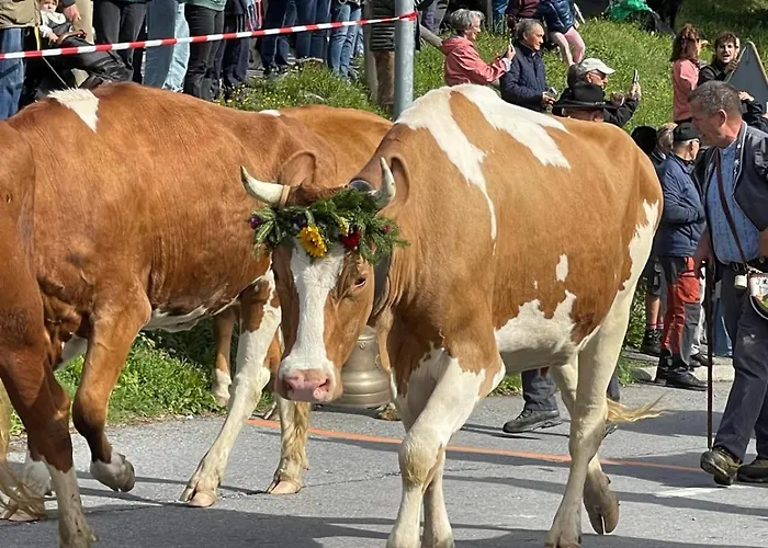 木屋 Akwaaba 格里翁